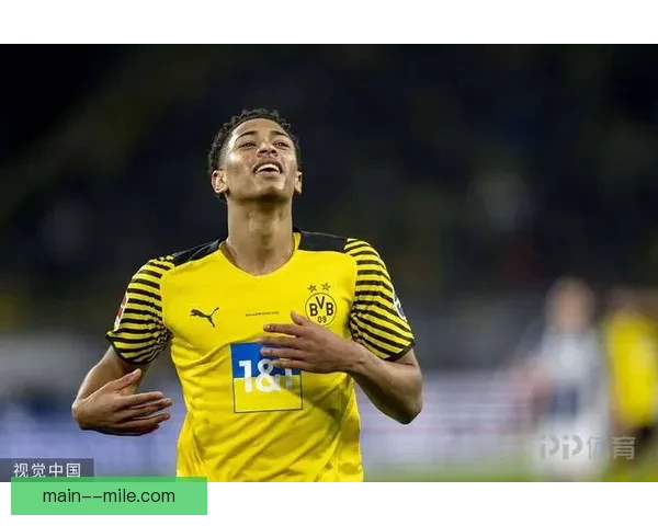 从数据与表现看贝林厄姆意甲赛季走势与未来潜力判断分析与前景展望