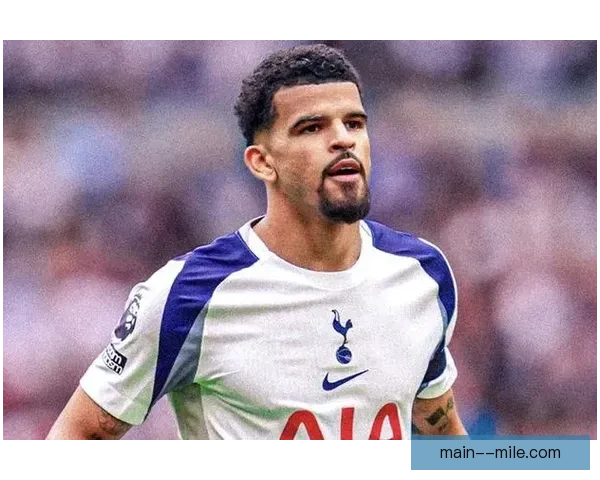 热刺正式签下索兰克增强锋线实力迎接新赛季挑战